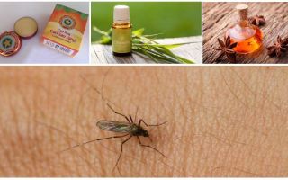 Oversikt over folkemidlene for mygg og midger i naturen