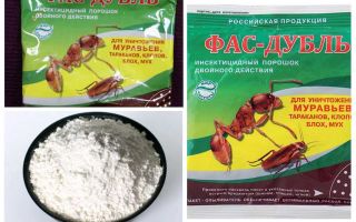 Betyr Fas fra cockroaches: tabletter, gel og pulver