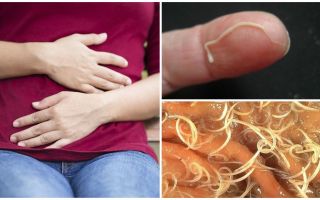 मनुष्यों के लिए pinworms के प्रभाव