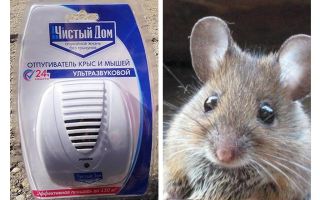 Repelente ultrassônico de ratos e camundongos Casa limpa