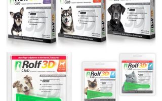 Drops Rolf Club 3D de pulgas para cães e gatos