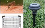 Lys fra myg for gaden og hjemme