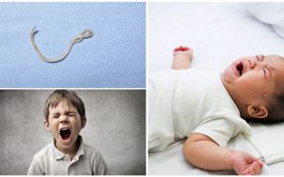 बच्चों में ascariasis के लक्षण और उपचार