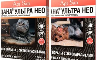 Dana Ultra Neo cai de pulgas para gatos e cães