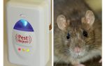 Pest Redzhekt roedores repelente ultra-sônico e insetos