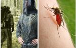 Ubrania z komarów, kleszczy i muszek - przegląd