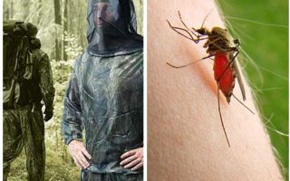 Îmbrăcăminte de la țânțari, căpușe și mlaștini - o prezentare generală