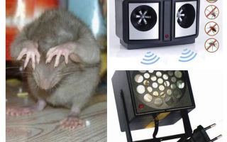 Repelentes ultrassônicos de roedores
