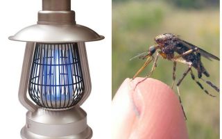 모기에 대한 전기 램프 터미네이터