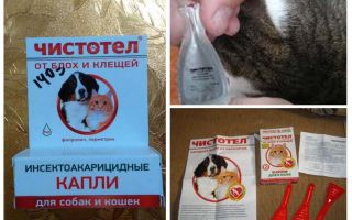 Σταγόνες κυανδίνης από ψύλλους για γάτες και σκύλους