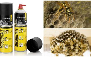 Mosquitall aerosol from wasps and wasp nests