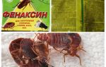 Pulver Fenaxin fra bedbugs