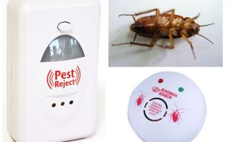 Elektroniczne odstraszacze karaluchów