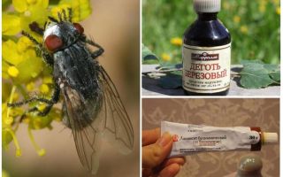 Remédio para moscas e mutucas para humanos