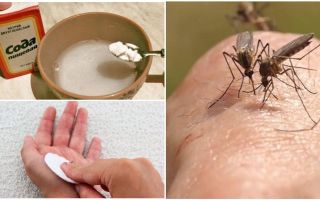 Το διάλυμα κουνουπιών σόδα για παιδιά και ενήλικες
