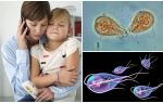 Hvordan behandle Giardia hos barn av Dr. Komarovsky