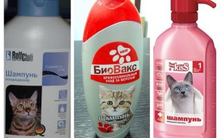 Šamponi za mačeve i mačke