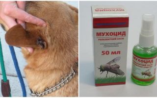 Kako i što liječiti uši psa od muha