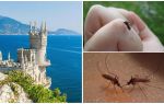 Er der mosquitoes på Krim