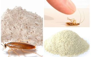 Kakerlakkpulver: Typer og hvordan du bruker dem