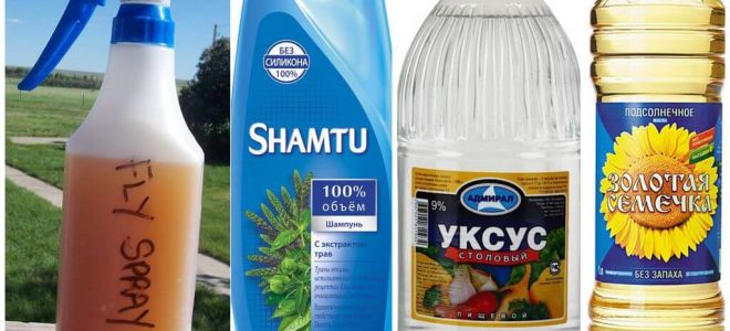 Matu-atbaidošu odu atbaidīšanas šampūns + etiķis