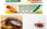 Kakerlak Remedy Global (Global)