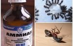 Amonijak iz mrava i lisnih uši