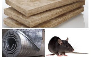 किस तरह का इन्सुलेशन चूहों और चूहों को नहीं खाते हैं