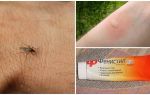 Što i kako ukloniti svrab od ujeda komaraca u djetetu i odrasloj osobi