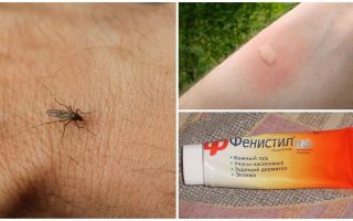 Co i jak usunąć swędzenie z ukąszeń komarów u dziecka i dorosłego