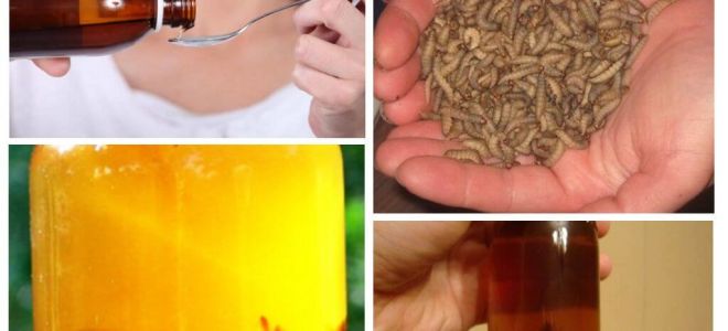 Nalewka z miodem pszczelim: co leczy i jak go używać