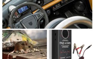 Szczury i myszy odstraszające samochody