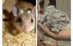 किस तरह का इन्सुलेशन चूहों को नहीं खाते हैं