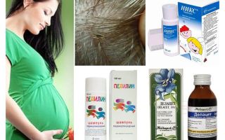 Como tratar a pediculose durante a gravidez e amamentação
