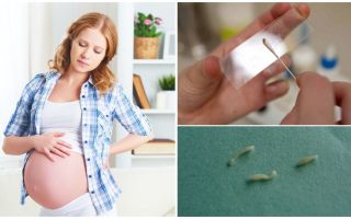 Como tratar pinworms em mulheres grávidas