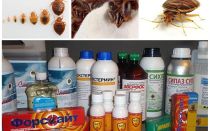 Pregled najučinkovitijih lijekova za kućne bugove