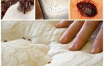 Bedbugs i madrassen og senge