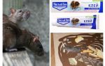 Casa limpa de argila de roedores e insetos