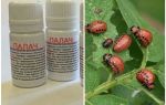 Tool Executioner fra Colorado potato beetle