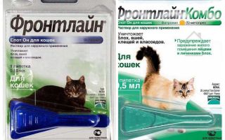 Frontline loppdroppar för katter