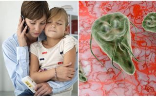 Giardiasis u djece: simptomi i liječenje