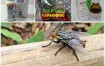 Hva er gadflies og gadflies redd for, en gjennomgang av midlene