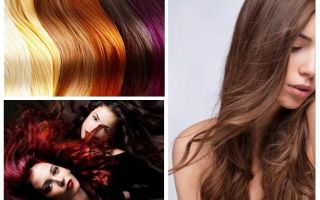 Czy mogą być wszy na farbowanych włosach?