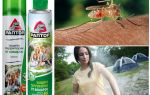 Beskytte territoriet fra mygg Raptor