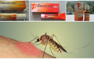 Żel Fenistil z ukąszeń komarów: instrukcje, recenzje i analogi