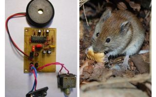 Ultradźwiękowe odstraszacze szczurów i myszy własnymi rękami