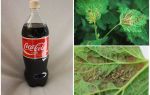 Coca-Cola fra bladlus