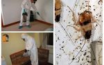 Istrebljenje žohara u stanu