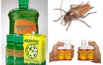 Hvordan og hvad at forgifte kakerlakker derhjemme