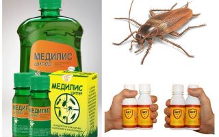 Hvordan og hvad at forgifte kakerlakker derhjemme